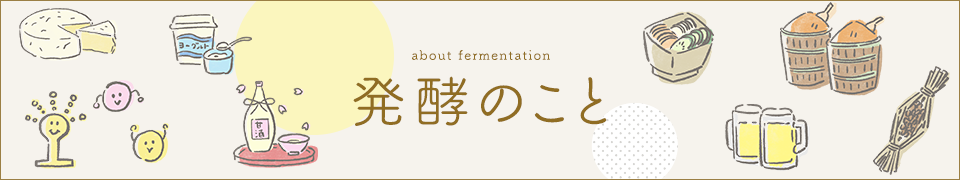 発酵のこと