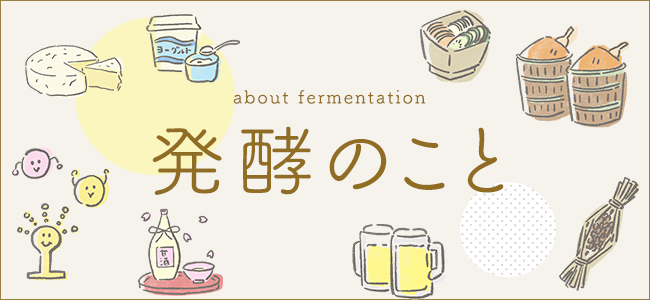 発酵のこと